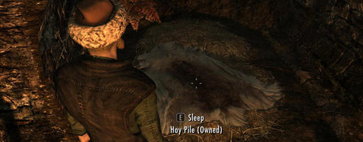 Elder Scrolls V: Skyrim, The - The Elder Strolls, часть 6: «Один стоит целой стаи»